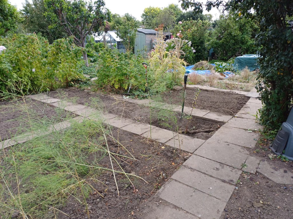 Starting to take shape